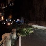 Vento forte, paura ad Atrani: piomba grosso arbusto sulla strada [FOTO]