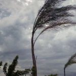 Allerta meteo per vento forte e mare agitato