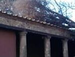 Pompei Scavi, cade pino sulla Palestra Grande