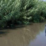 Inquinamento fiume Sarno, sequestrata discarica illecita di 1000 metri quadrati