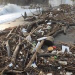 Mareggiata trascina tronchi e plastica sulle spiagge della Costa d’Amalfi: i cittadini raccattano rifiuti inquinanti [FOTO/VIDEO]