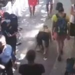 Positano, un ‘uomo cane’ a guinzaglio tra i turisti (Video)