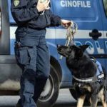 Droga, controlli poliziotti di Sorrento con cani antidroga