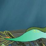 Punta Campanella,  sirena imprigionata dai rifiuti e poi liberata (Video cartone animato)