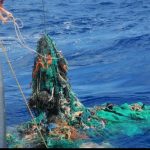 Punta Campanella: Campania, rinvenimento dei rifiuti per un mare sostenibile