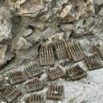 Capri, scoperte munizioni tedesche in un muro pericolante