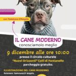 Sant’Agnello, convivenza cane-famiglie: l’incontro per conoscere meglio gli amici a 4 zampe